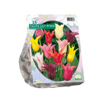 Tulipa Leliebloemig, Mix - 25 stuks