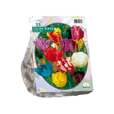 Tulipa Parkiet Mix - 20 stuks