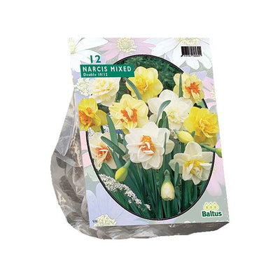 Narcis Dubbel Mix - 20 stuks
