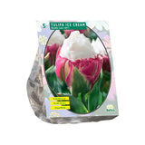 Tulipa Ice Cream - 5 stuks