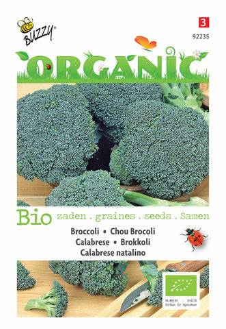 Broccoli Calabrese natalino (BIO)