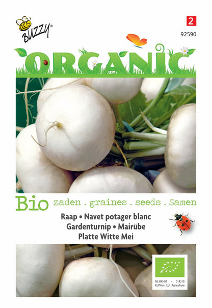 Raap Platte Witte Mei (BIO) - Zaden