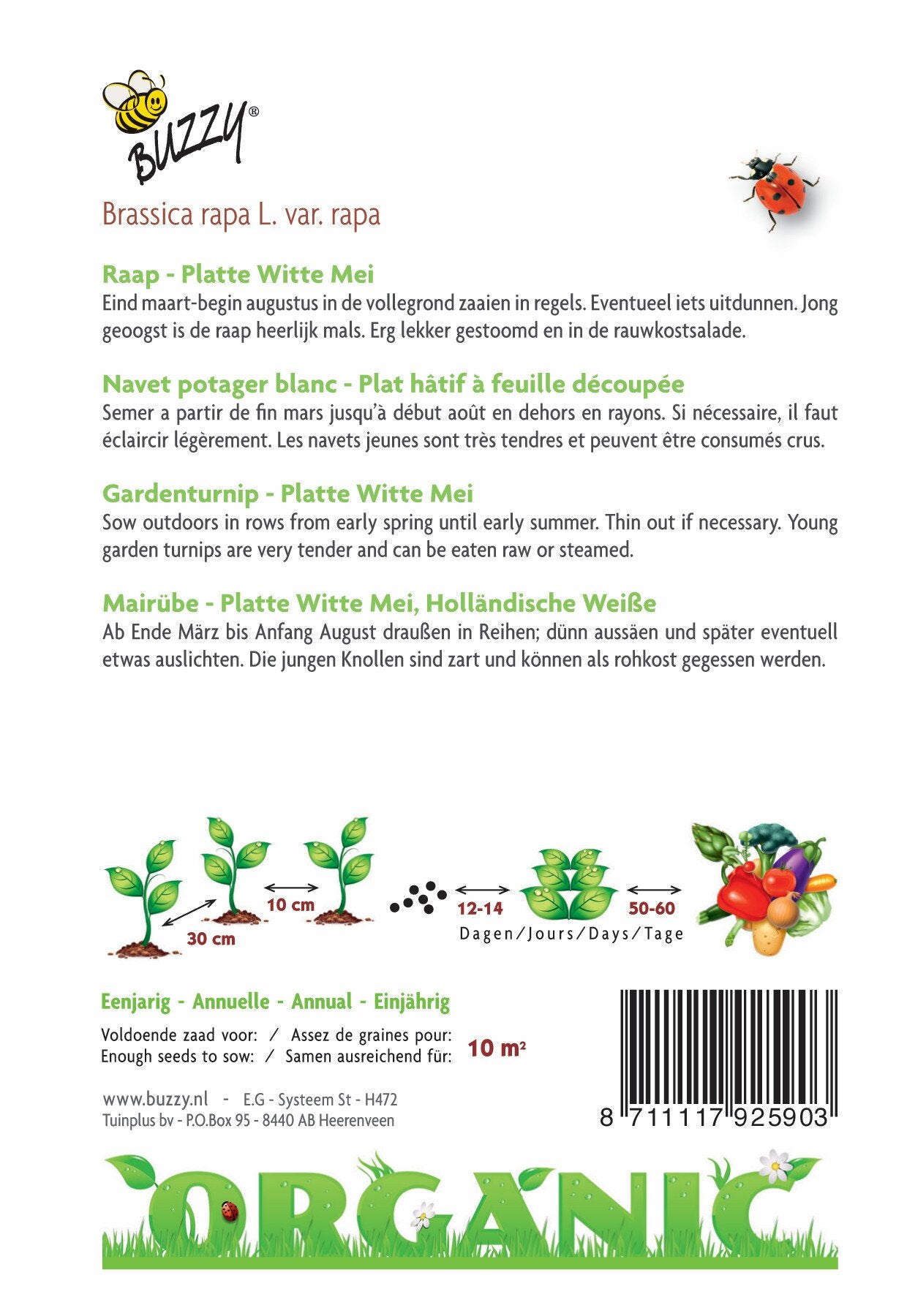 Raap Platte Witte Mei (BIO) - Zaden