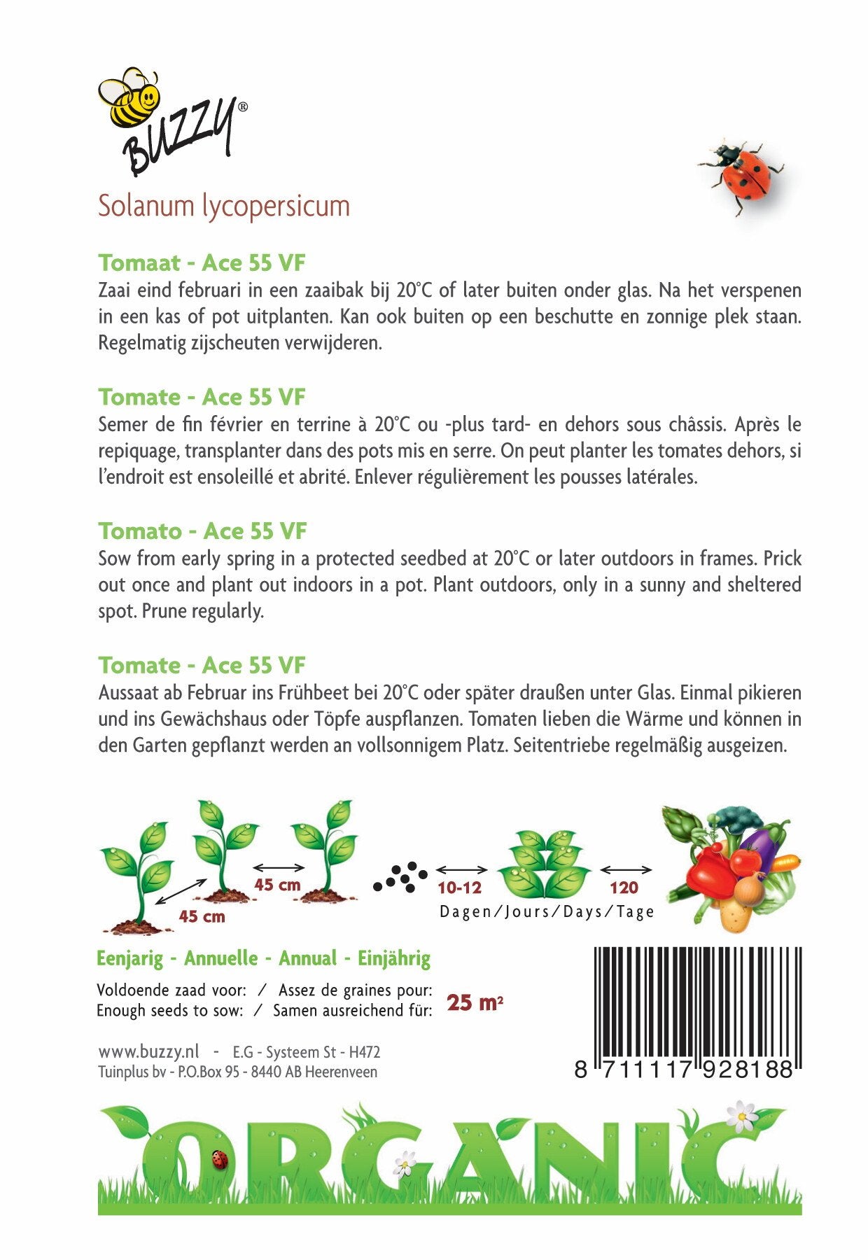 Tomaten Ace 55 VF (BIO) - Zaden