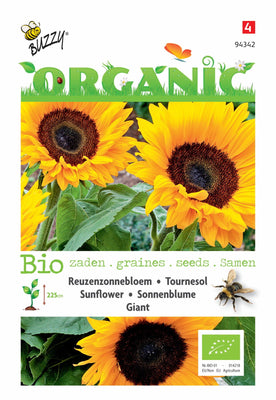 Helianthus, Reuzenzonnebloem giganteus (BIO)
