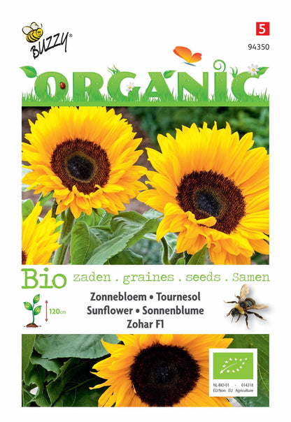 Helianthus, Zonnebloem Zohar F1 (BIO) - Zaden