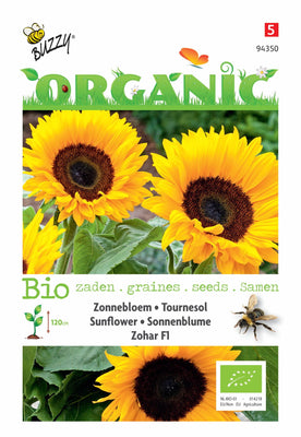 Helianthus, Zonnebloem Zohar F1 (BIO)